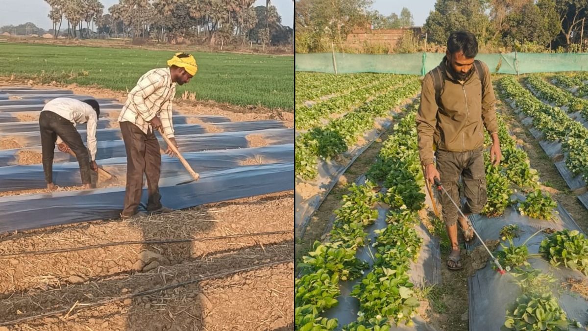 महादेवा गांव की सफलता की कहानी