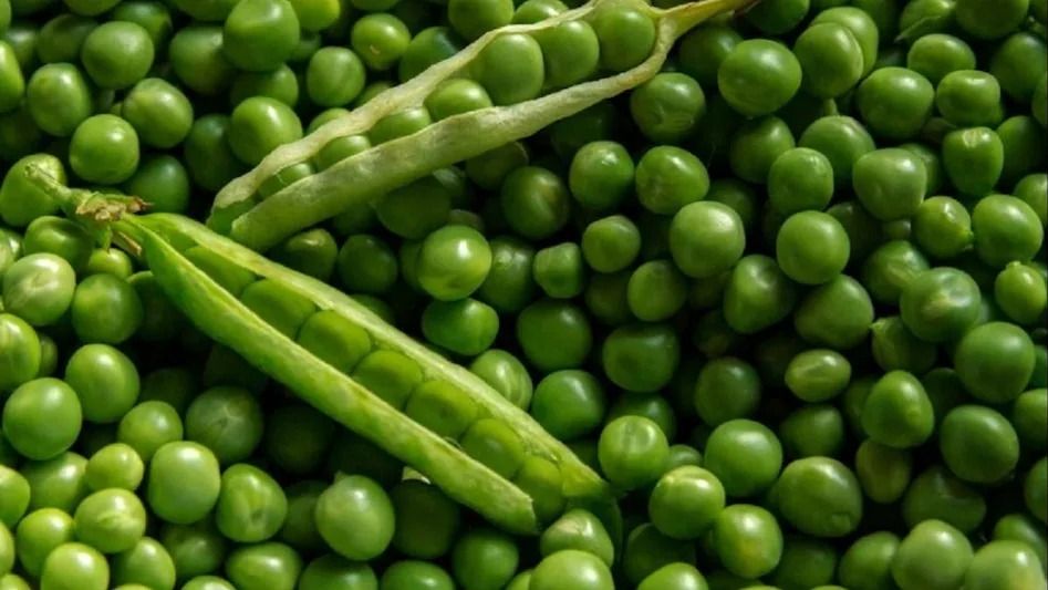 मटर रेसिपी