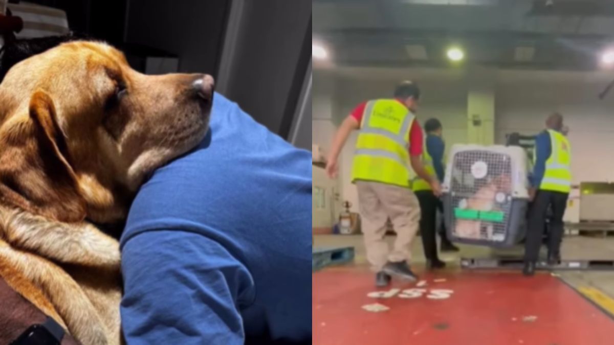 Indian couple Pet dog