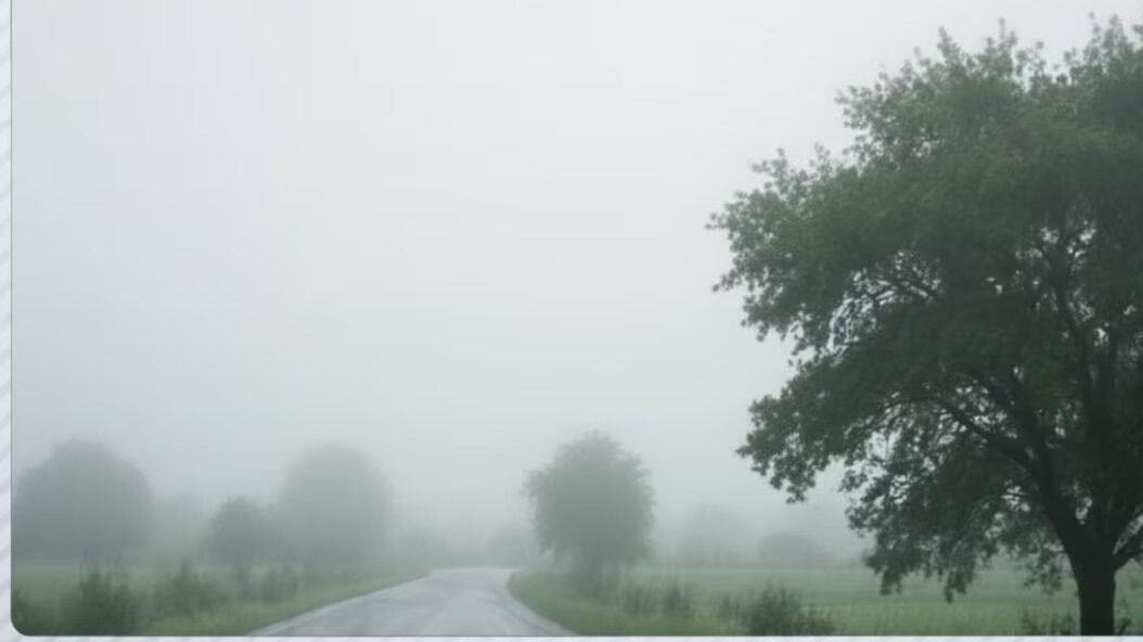 30 January 2026 Weather Update