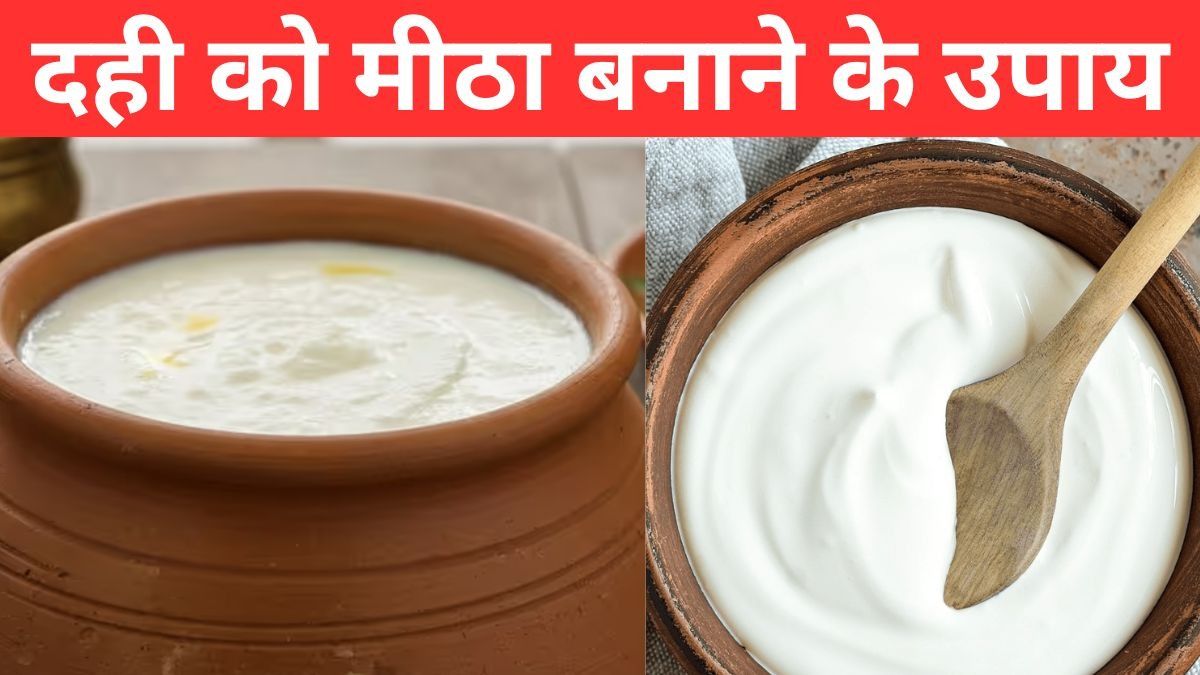 Tips to Make Sour Curd Sweet