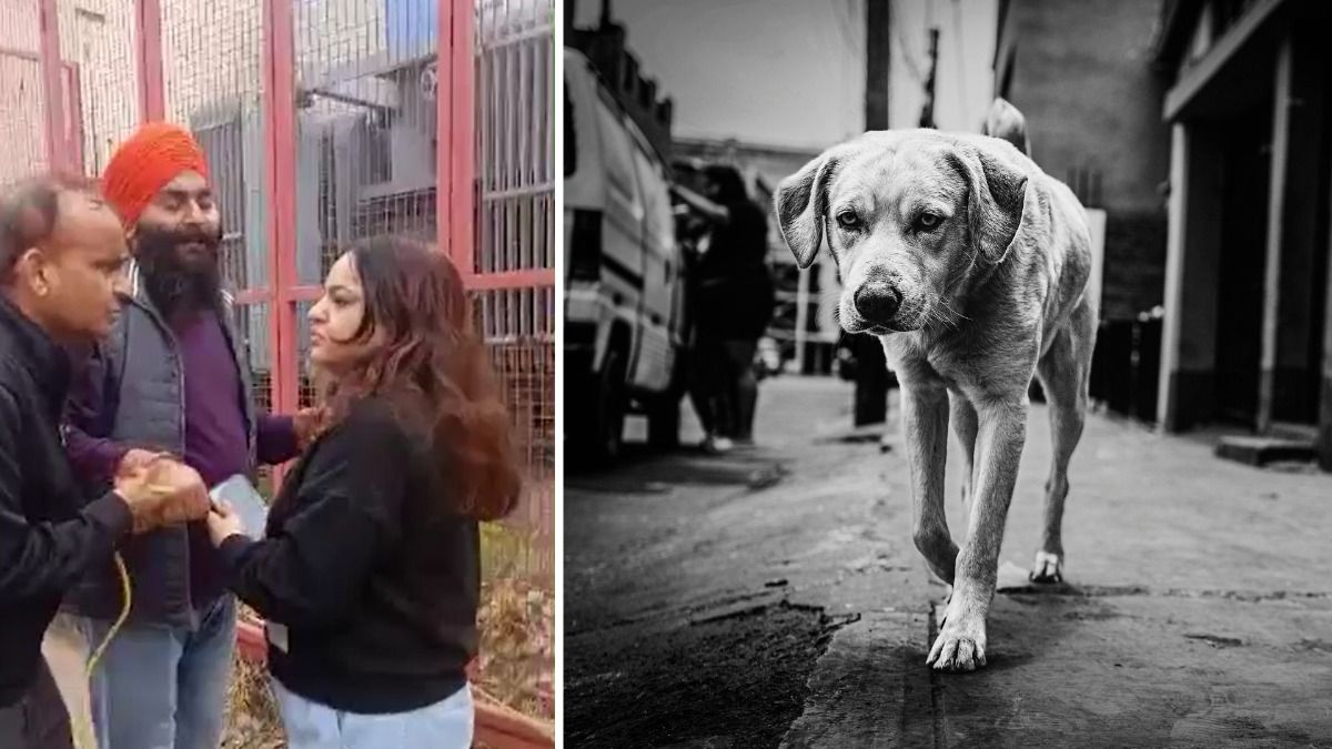 डॉग लवर और नगर निगम के बीच झड़प 