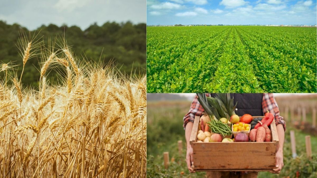 खाने की हर चीज खुद उगाता है ये देश