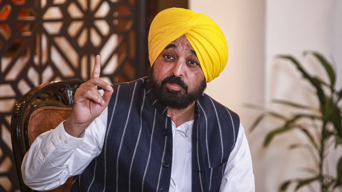 CM Bhagwant Mann (Photo/PTI)