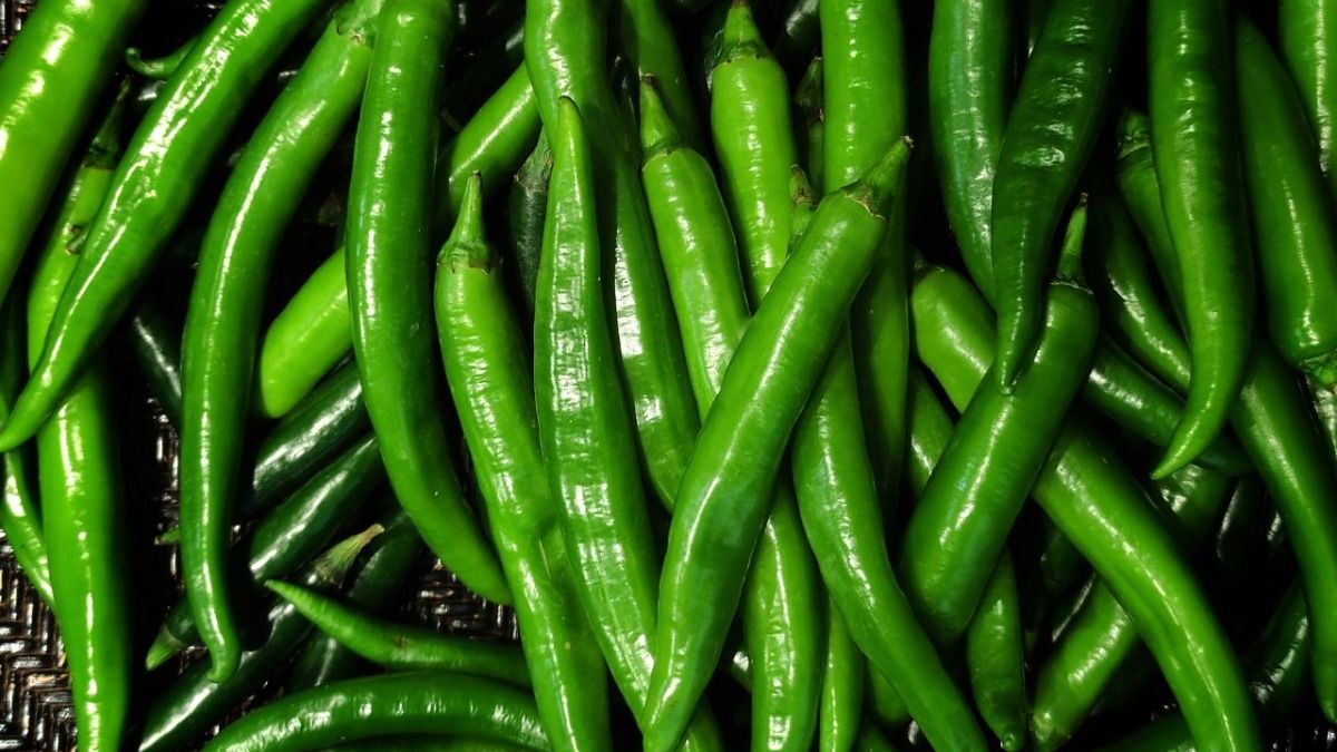 How to store green chilli