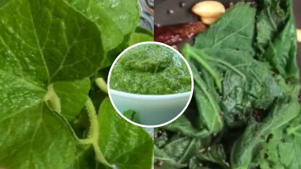 कद्दू के पत्तों की चटनी