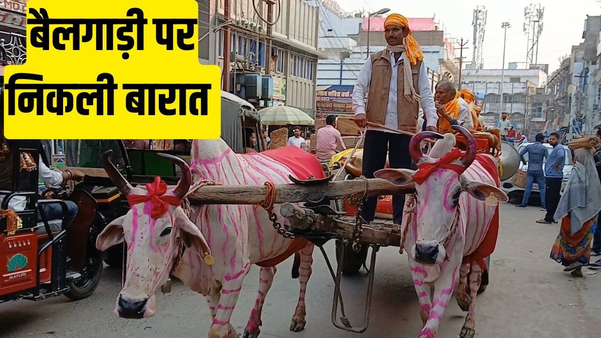 Bullock Cart Wedding