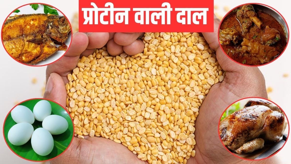 Moong Dal Rich in Protein 