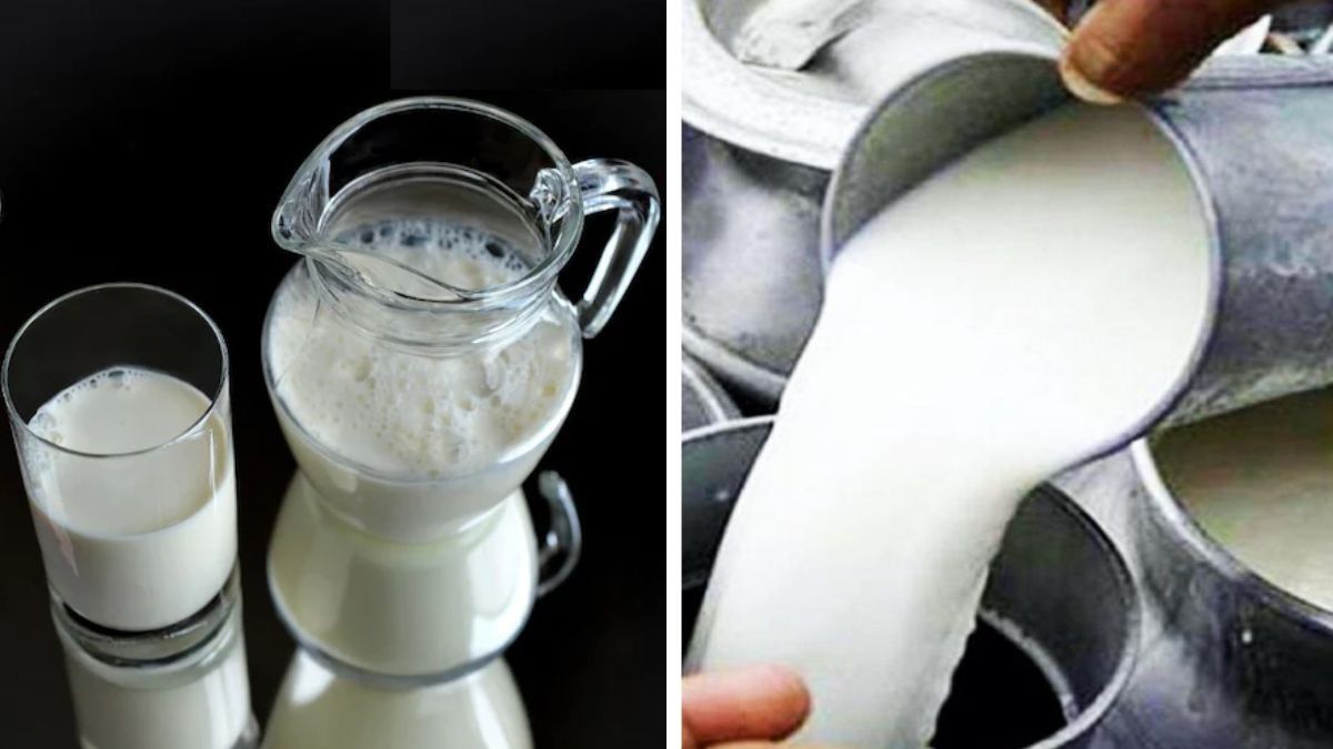 How To Avoid Milk Curdling In Summer 