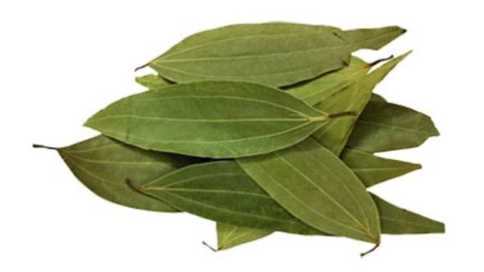 Bay leaf