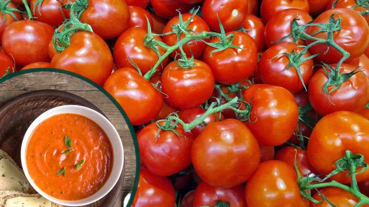 टमाटर की चटनी