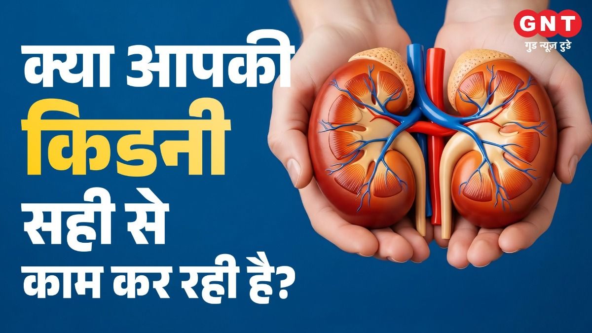 World Kidney Day