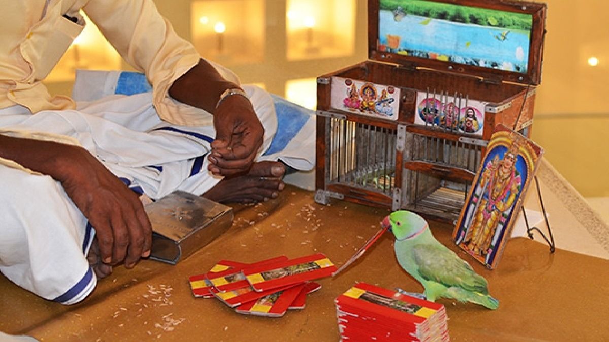 IT Officer Cheated in Bengaluru by Parrot Astrologer 