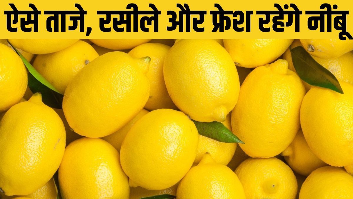 How to keep Lemons Fresh for a Long Time in Summer