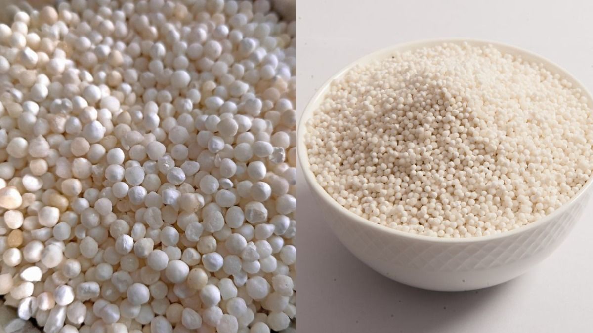 Real And Fake Sabudana