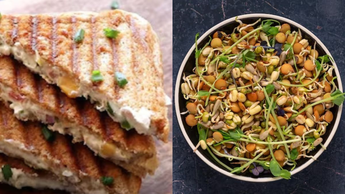 Recipes Without Gas (Photo/Freepik)