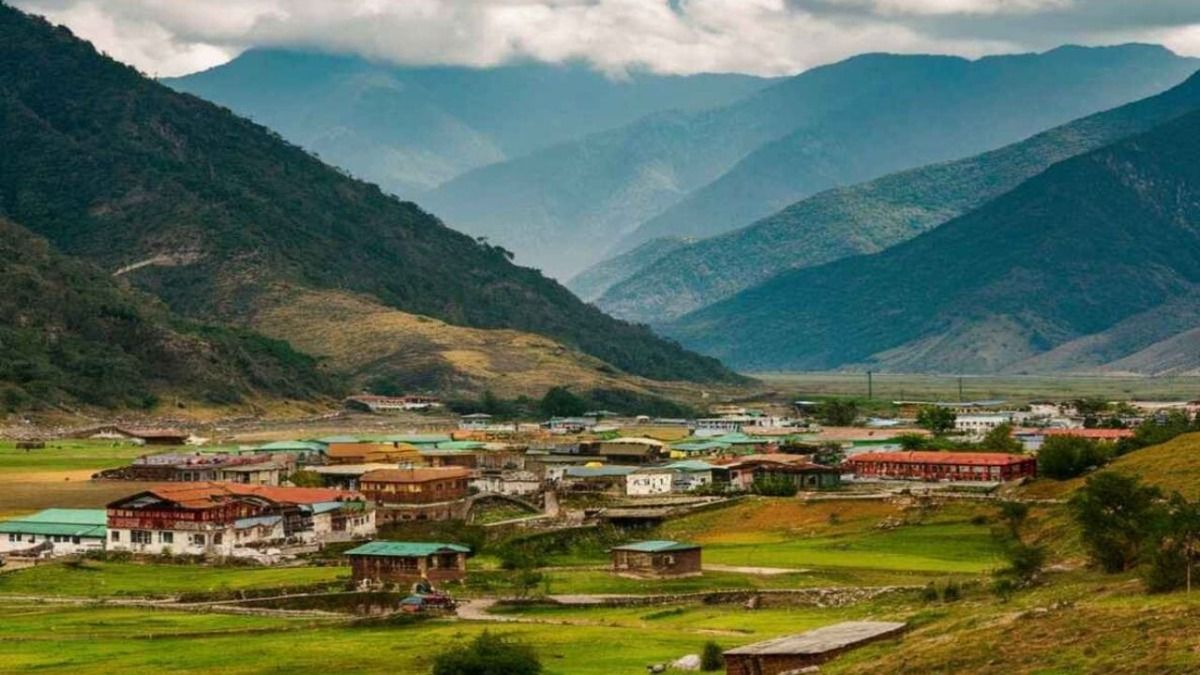 जीरो बैली