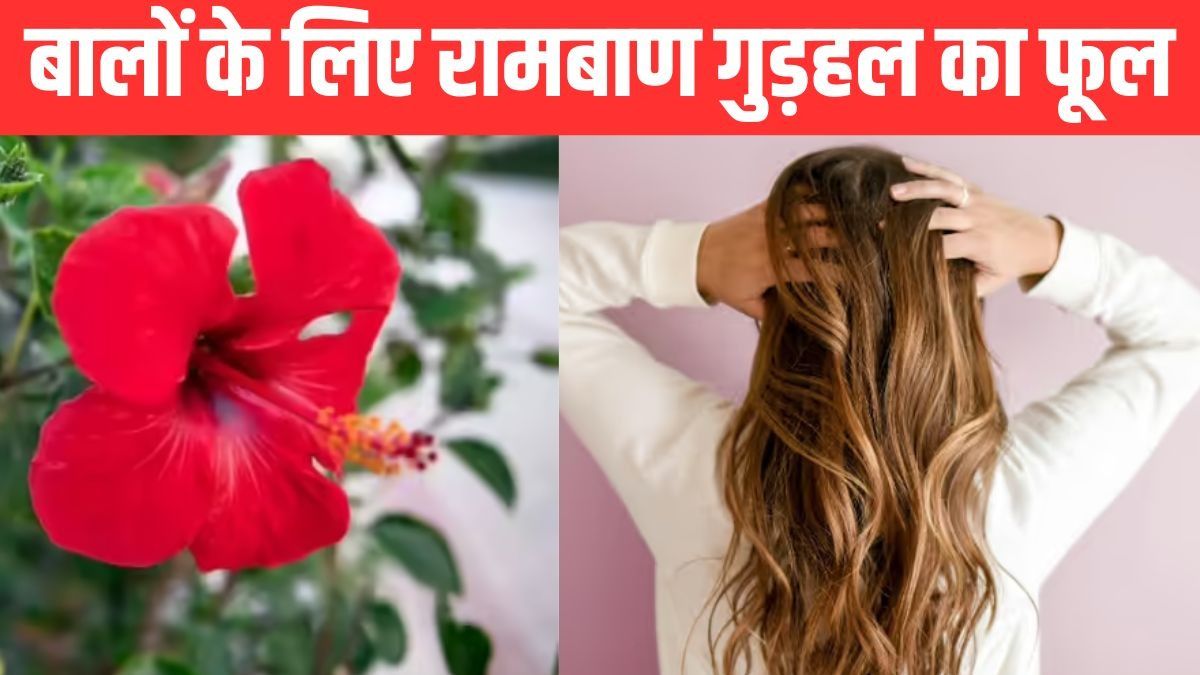 Hibiscus Flower Benefits for Hair