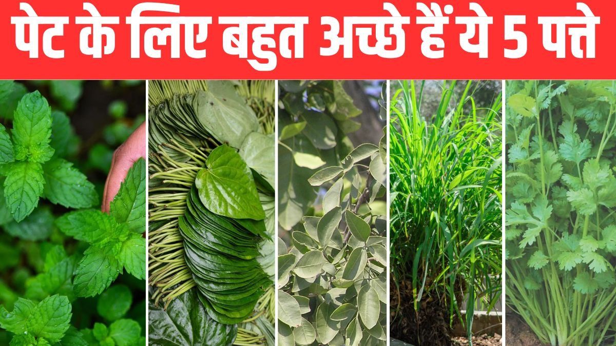 Benefits of Green Leaves