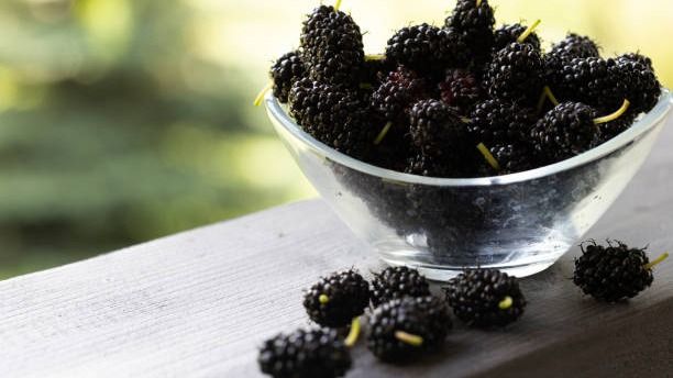 Health Benefits of Mulberry