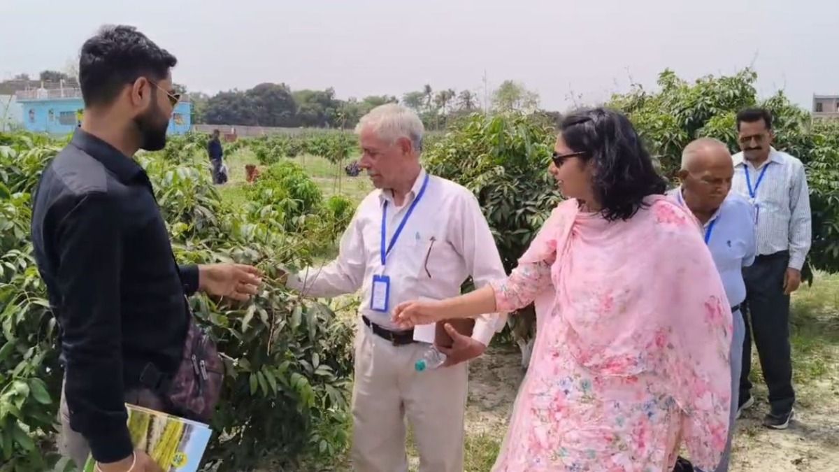 Shahi Litchi of Muzaffarpur