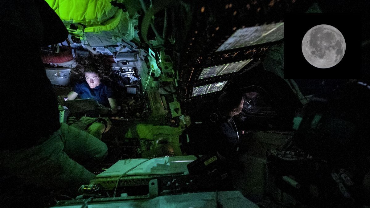 Artemis II Mission (Photo/PTI)