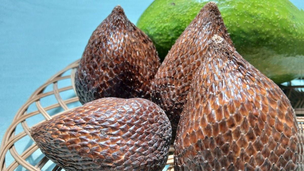 Snake Fruit