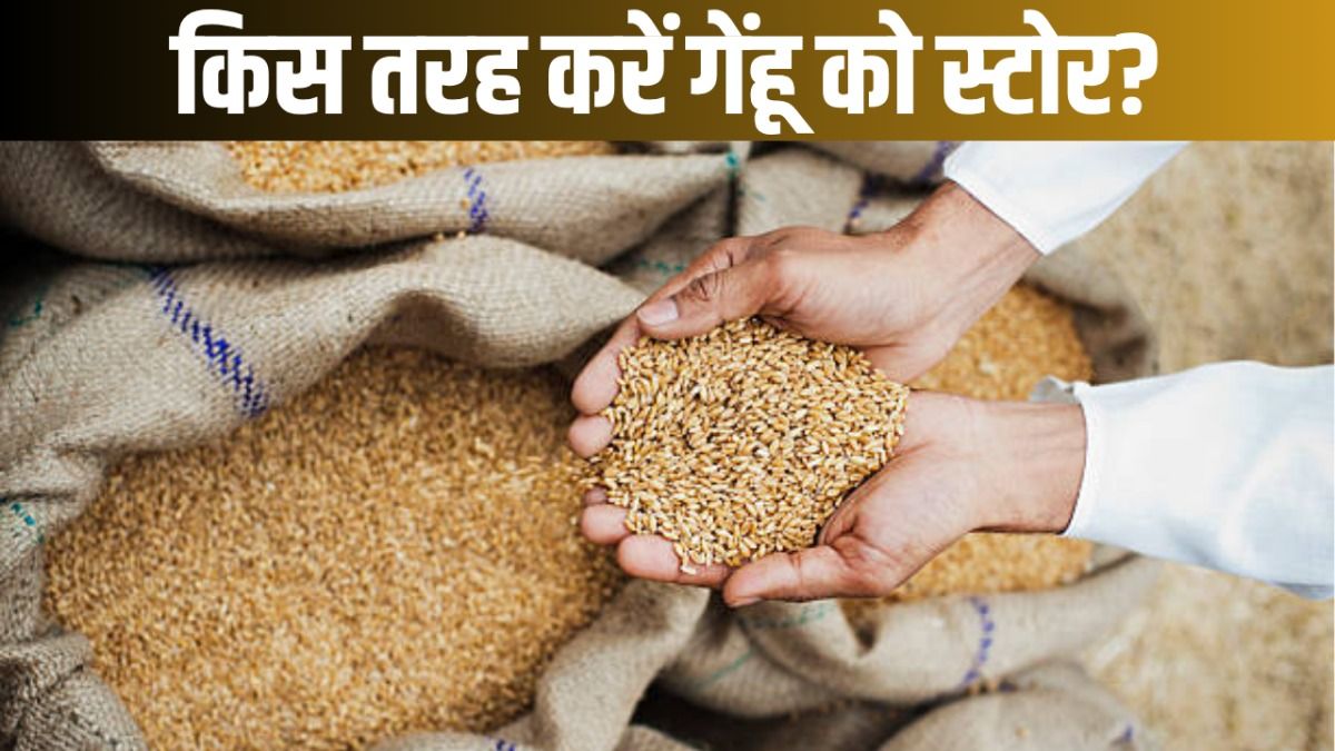Wheat Storage Tips