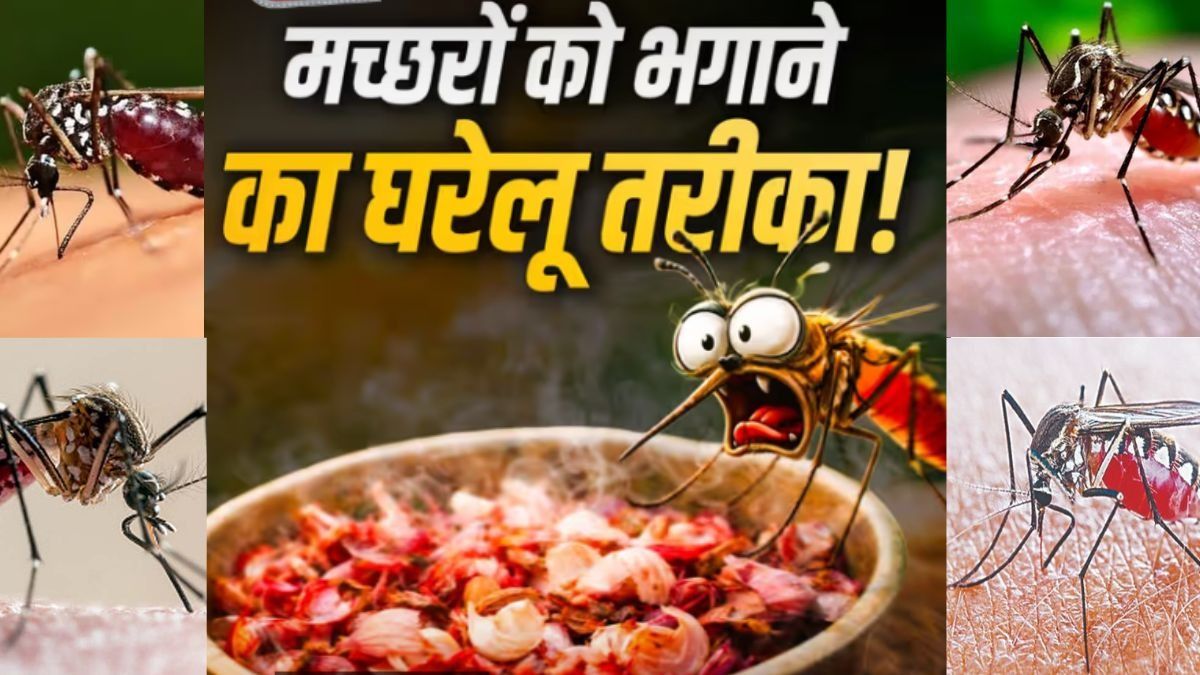 Home Remedies for Mosquitoes