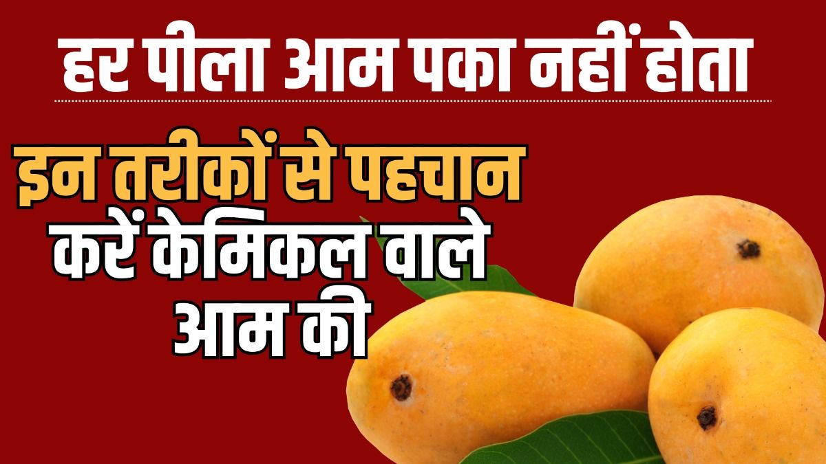 carbide vs carbide free mango