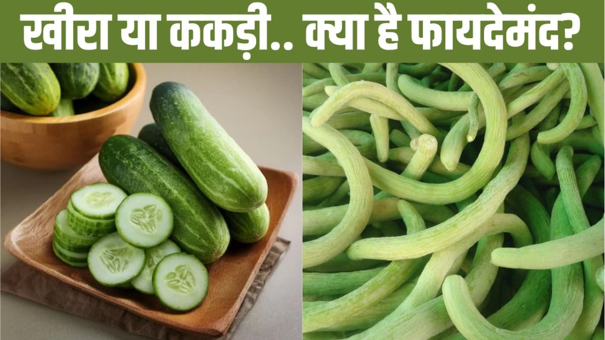 Kheera vs Kakdi Benefits