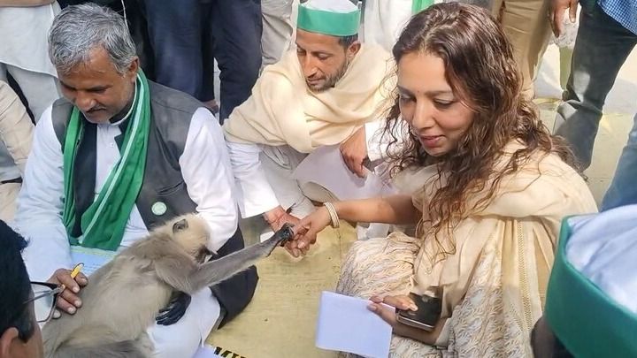 Matru Langur (Photo: Screengrab)