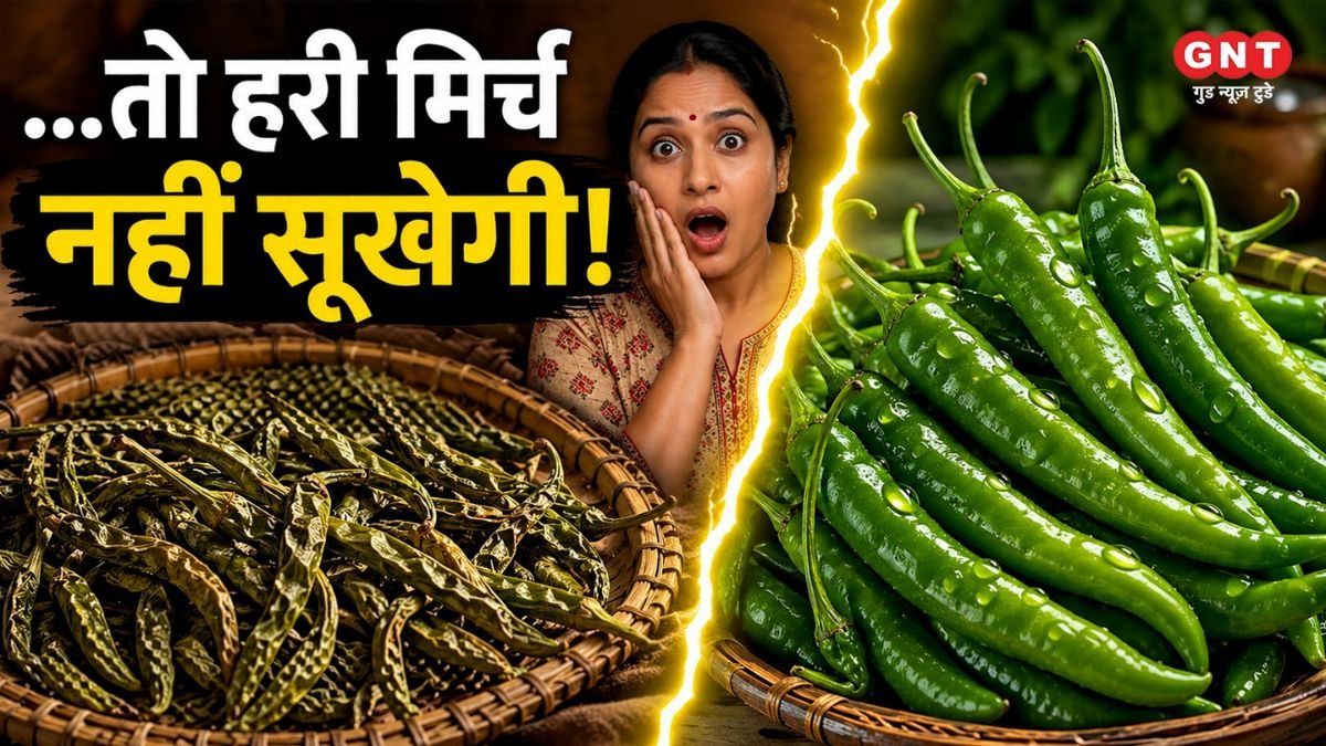 Green Chili Storage Tips