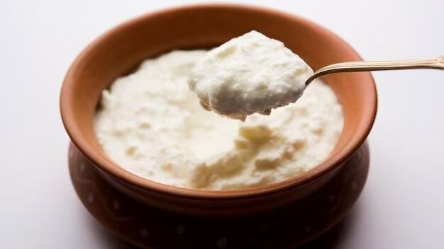 Sour Curd Utilisation