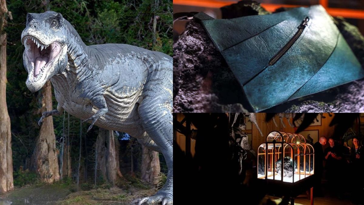 Handbag Made Of 'Dinosaur Leather'