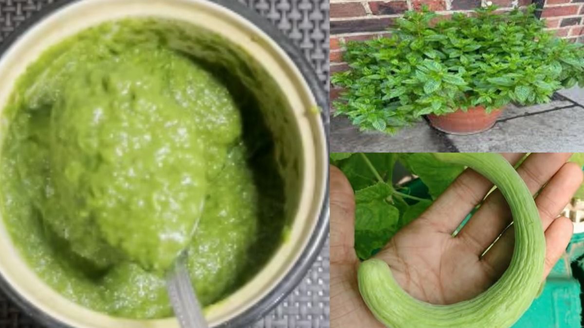 ककड़ी और पुदीने की चटनी