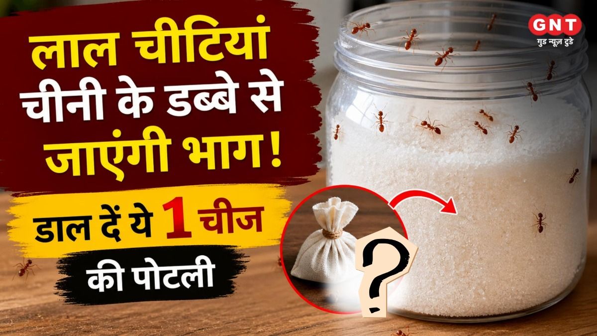 Hack to repel red ants