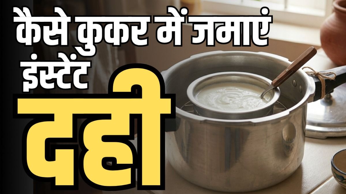 How To Make Instant Dahi