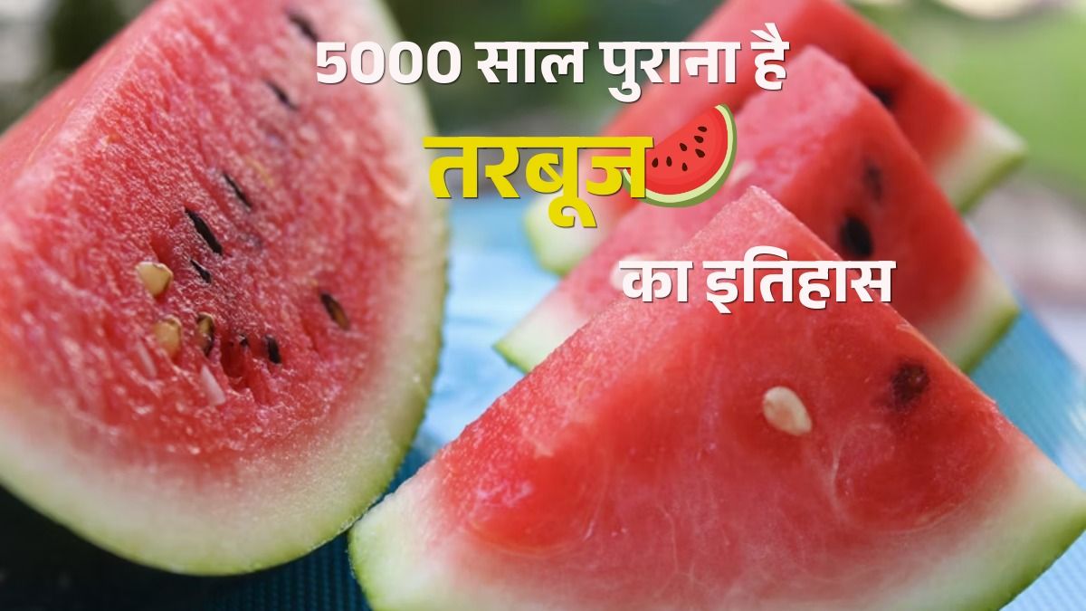 history of watermelon