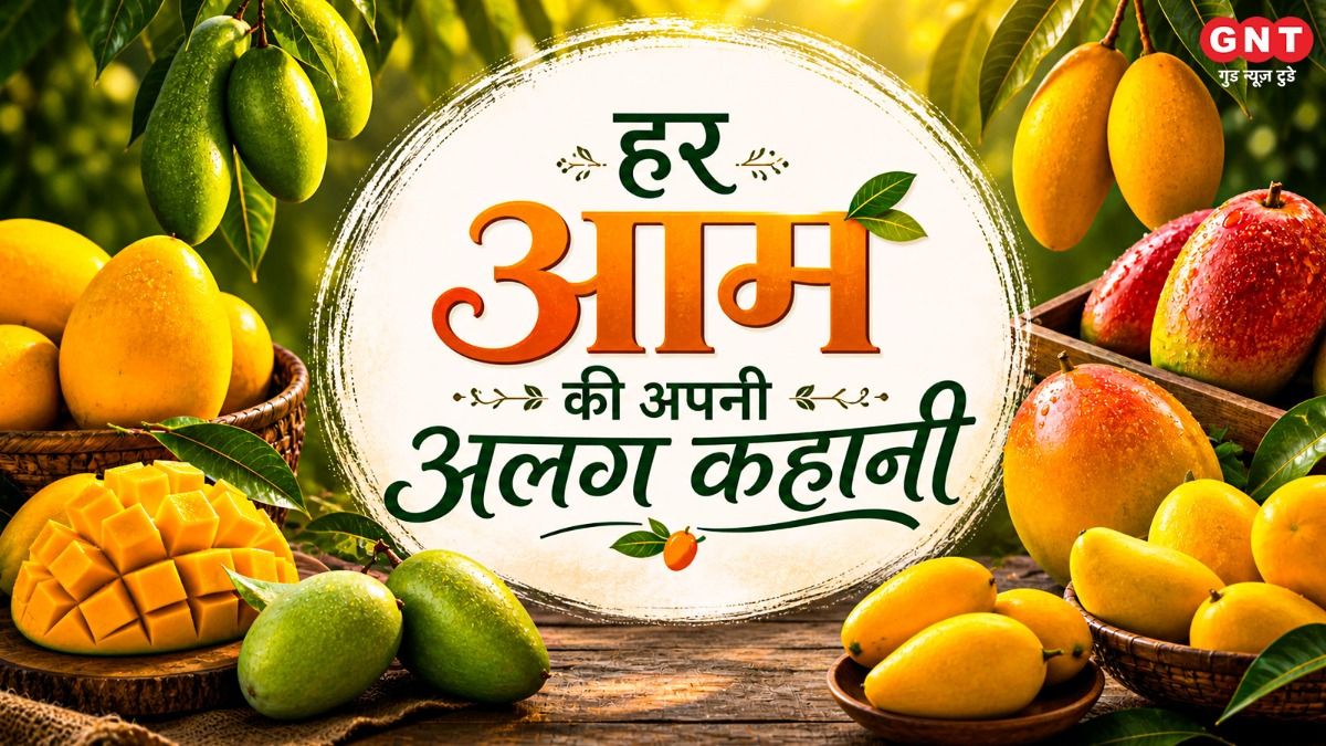 Different Types Of Mango