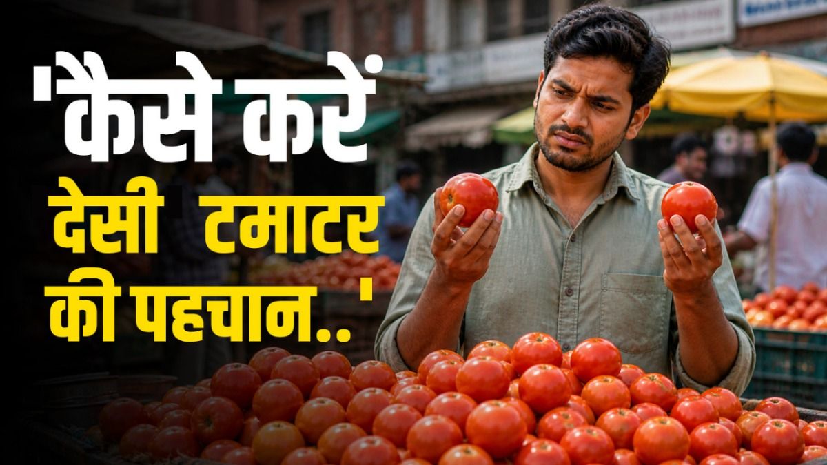 How To Identify Organic Tomato