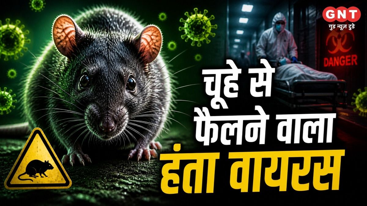 Hantavirus