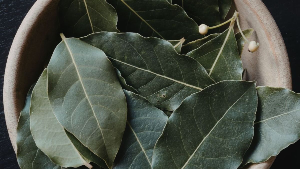 bay leaves