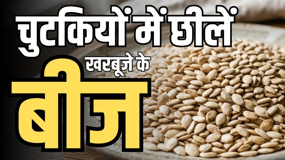 Muskmelon Seeds