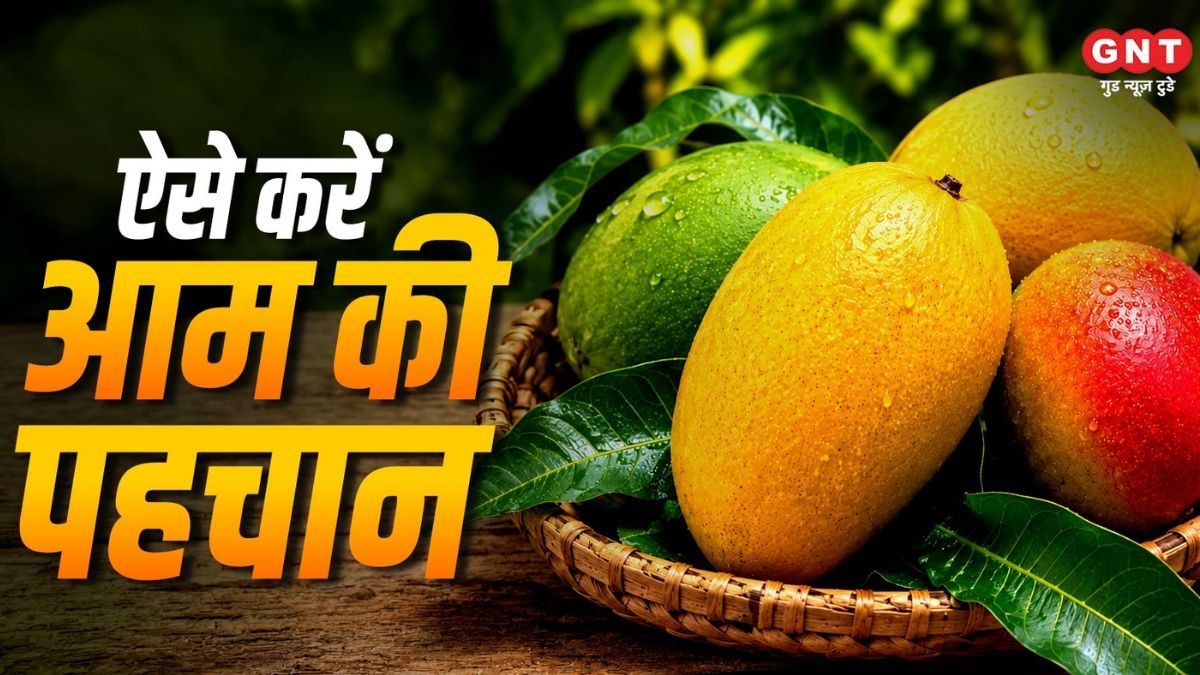 Tips to Identify Chemically Ripened Mangoes
