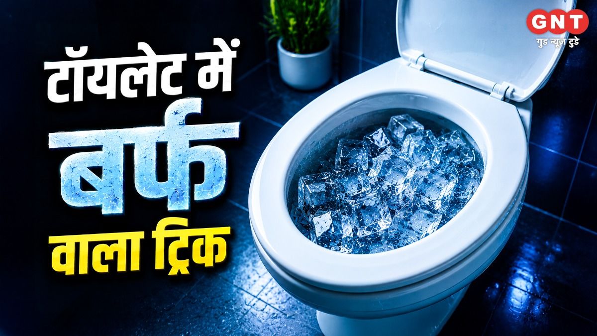 Toilet Cleaning Tips