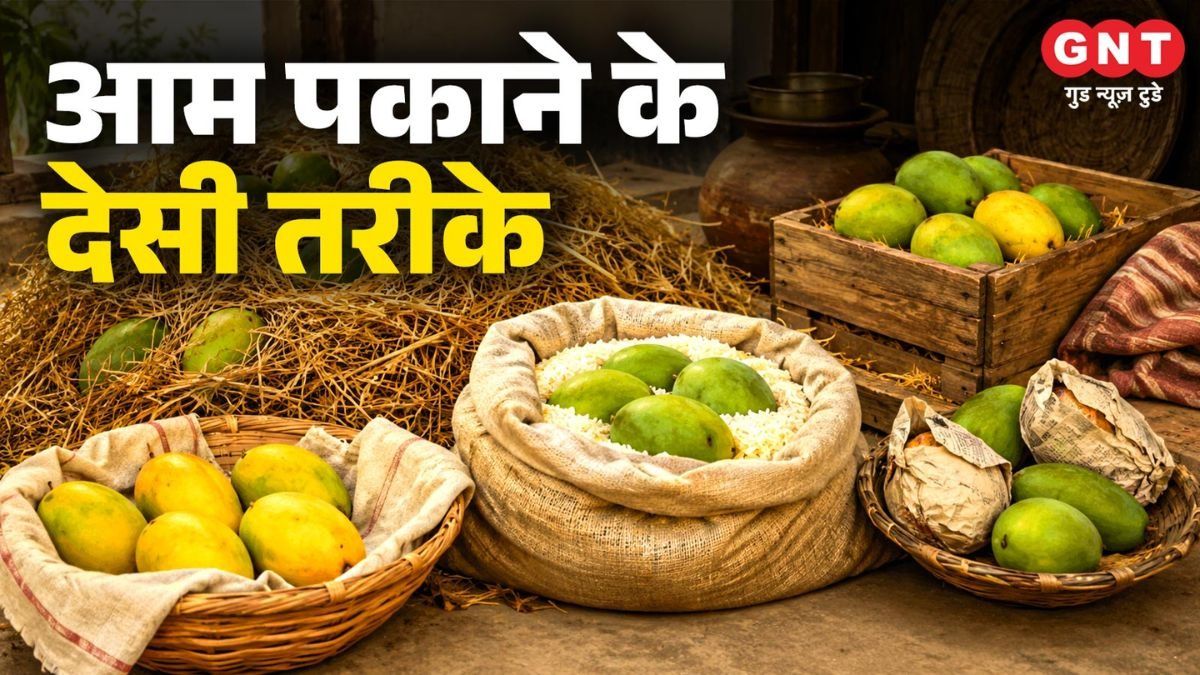 Ways to Ripen Mangoes