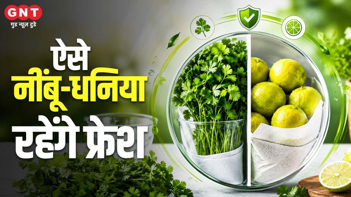 Lemon-Coriander Storage Tips