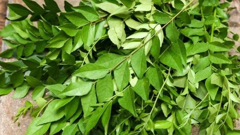 curry leaves