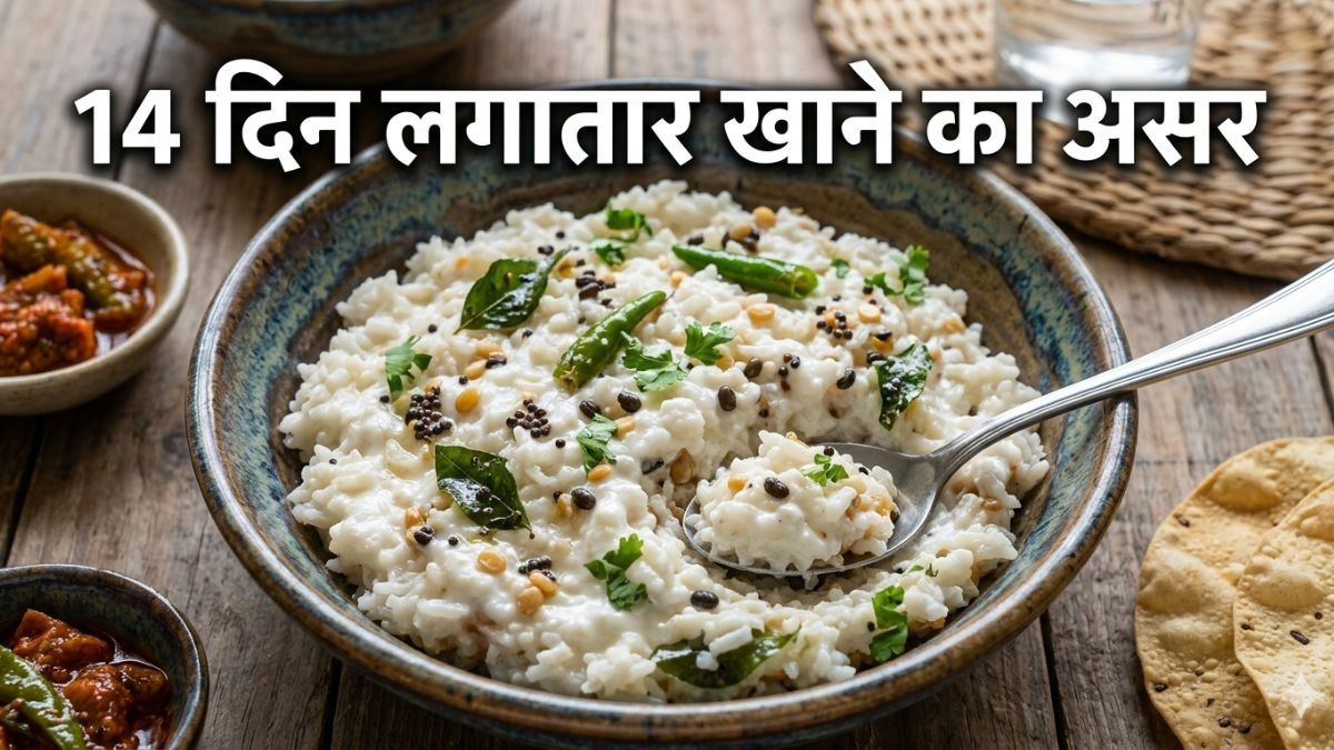 Curd Rice Benefits (Photo/Gemini AI)